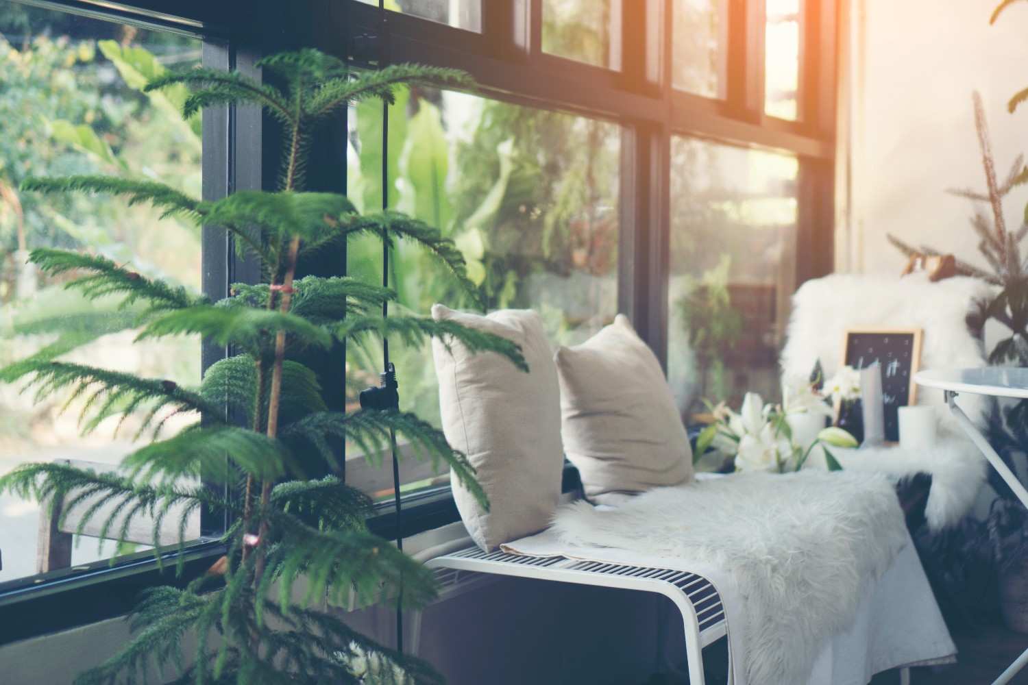 Designing for Wellness: Light, Air, and Flow